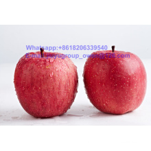 China Top Quality New Crop FUJI Apple Food Grade